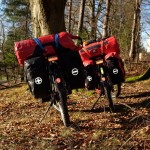 Ein schöner Rücken kann auch entzücken.