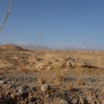 Ausblick aus dem "Zeltfenster"