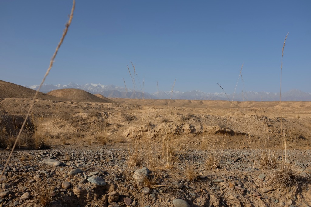 Ausblick aus dem "Zeltfenster"