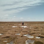 ...bis die Sonne kommt.