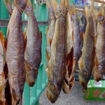 Trockenfisch...yummie!