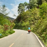 Kiwis, Papayas, Bananen und Mangos am Wegesrand