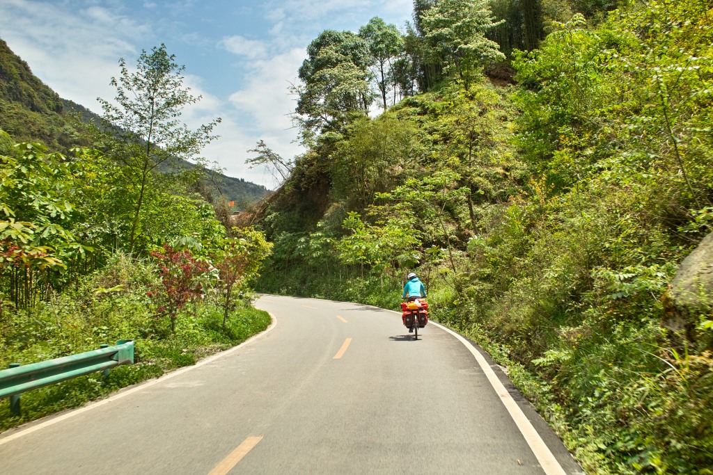 Kiwis, Papayas, Bananen und Mangos am Wegesrand