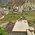 Die ersten Reisfelder