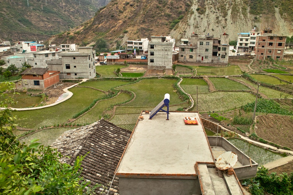 Die ersten Reisfelder