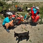 Wir werden von kleinen Ziegen geweckt.