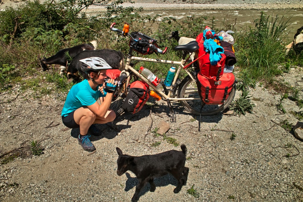 Wir werden von kleinen Ziegen geweckt.