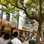 Mitten in der Stadt: Ein Affe!