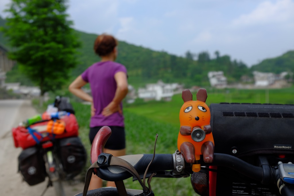 Die Maus im Reisfeld.