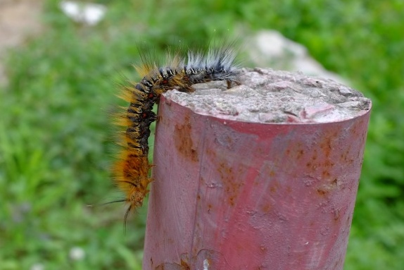 Ziemlich beeindruckend, nicht?