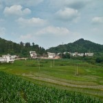 Reis und Mais soweit das Auge reicht